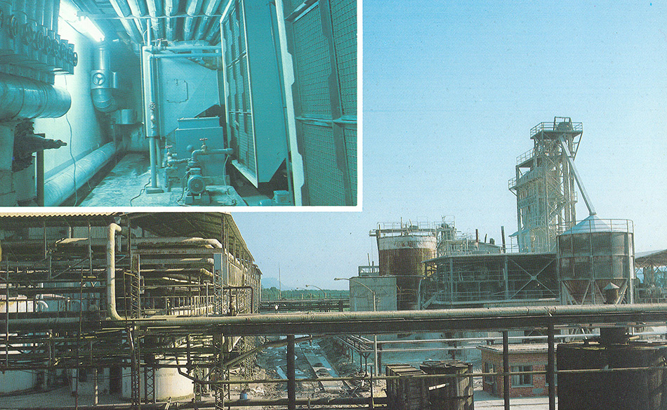 Dalaman Pulp & Paper Mill