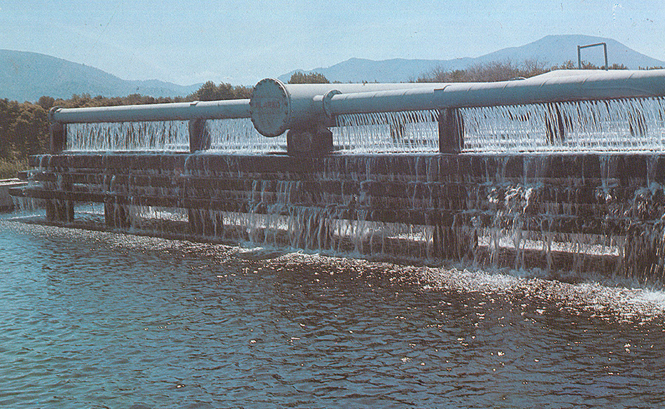 Dalaman Pulp & Paper Mill